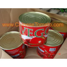 Hot Sell Canned Tomato Paste